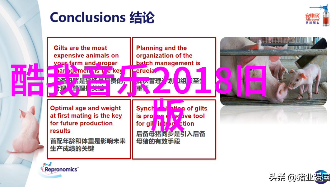 四位女星如何处理粉丝与媒体之间的关系