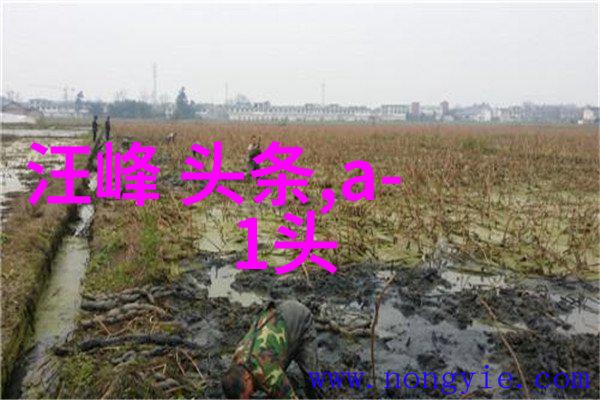欢迎光临电视剧里的生活真不容易