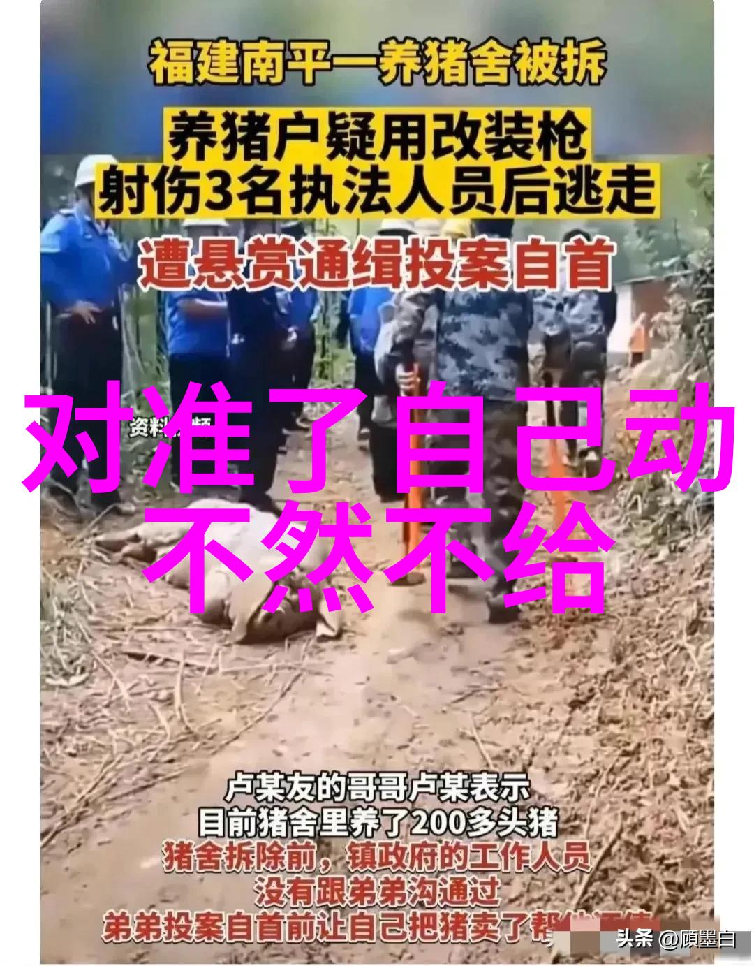 家有儿女新传电视剧家庭美好生活的温馨故事
