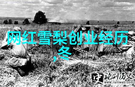秋霞电影 - 重温经典秋霞影业的传奇故事