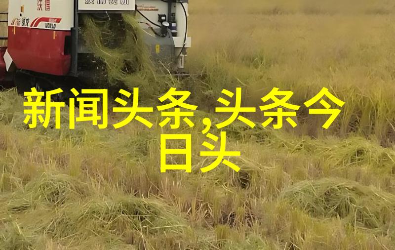 美丽背影头像之光与影
