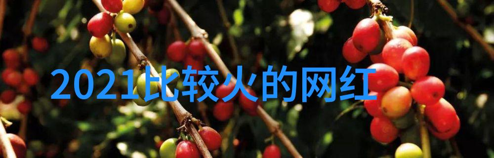 美丽无边116位摄影师的精选佳作展现 femininity与艺术感染力