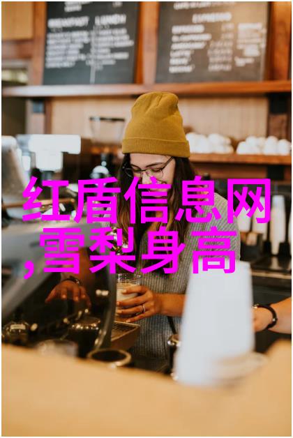 百度图片识物技术高效的图像搜索引擎