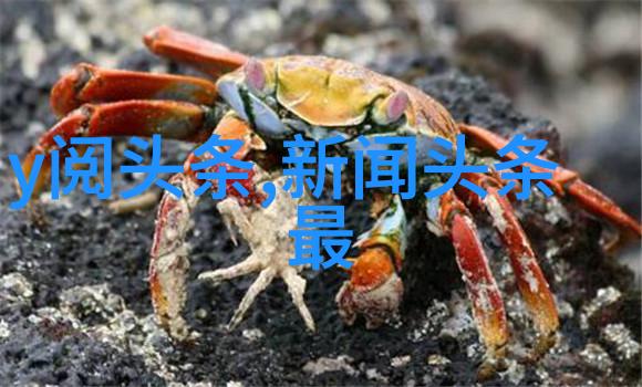 最新电影我眼中的年度盛宴星际穿梭让人沉醉不已