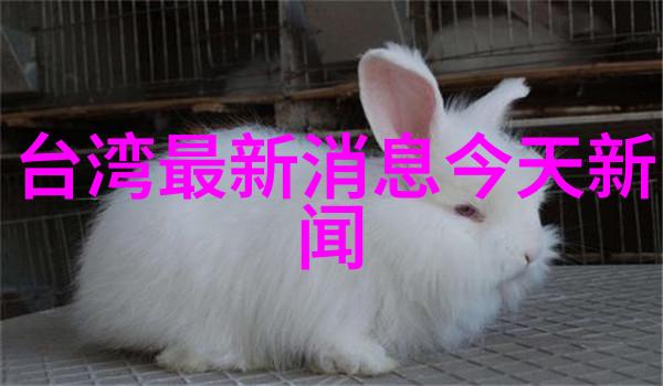 陈思诚暗示王宝强我听说陈思诚在群里悄悄地对王宝强说了一句要不要考虑把你的微博账号变成公众号啊这句话好