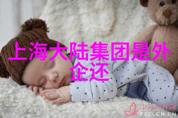 音乐大全300首免费听-摇滚乐队与古典交响探索音乐大全300首的奇妙旅程