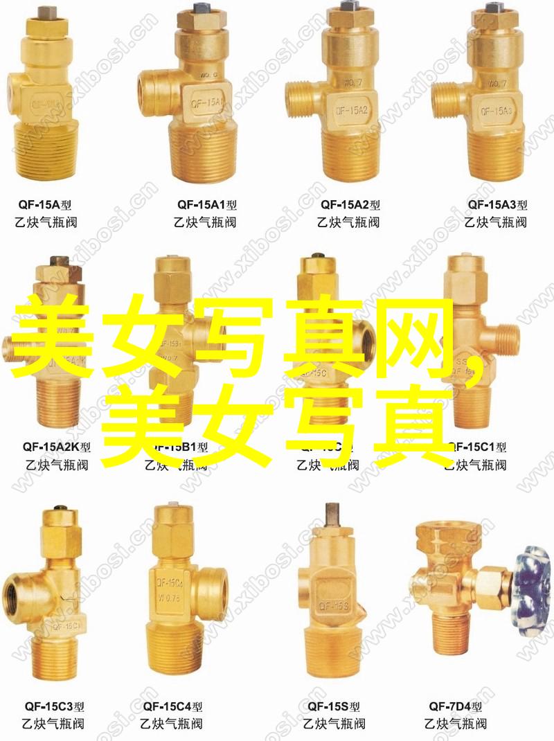 金银岛一场两人的冒险之旅