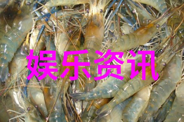 四虎影视-追逐梦想四虎影视行业的崛起与挑战