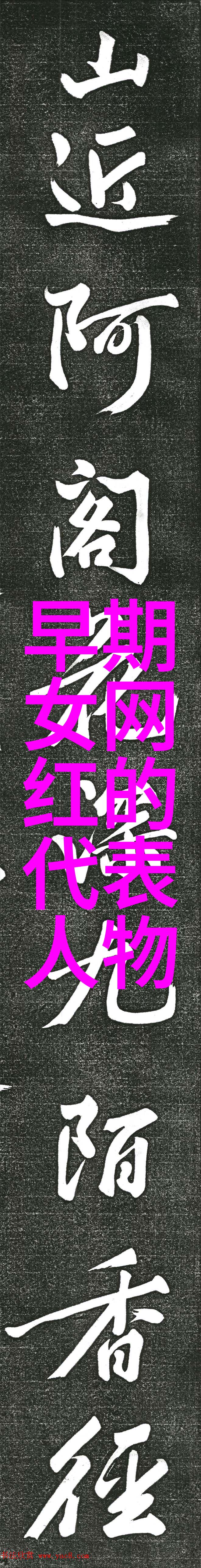 闪耀光环下的秘密明星写真的艺术与故事