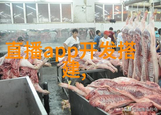 探究影视巨星范冰冰合作伙伴关系中的亲密互动从同行到床友的演变轨迹分析