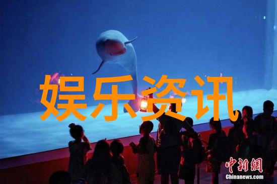 无恋谈我们综艺的纯真故事