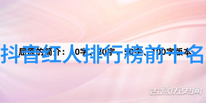 无与伦比的美丽电视剧华丽人生篇