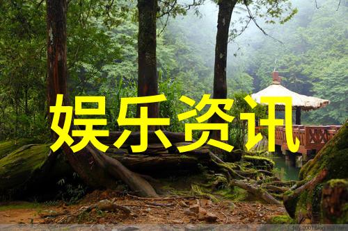 时尚王穿搭大师我是如何打造每天都像走猫道的街头风采的