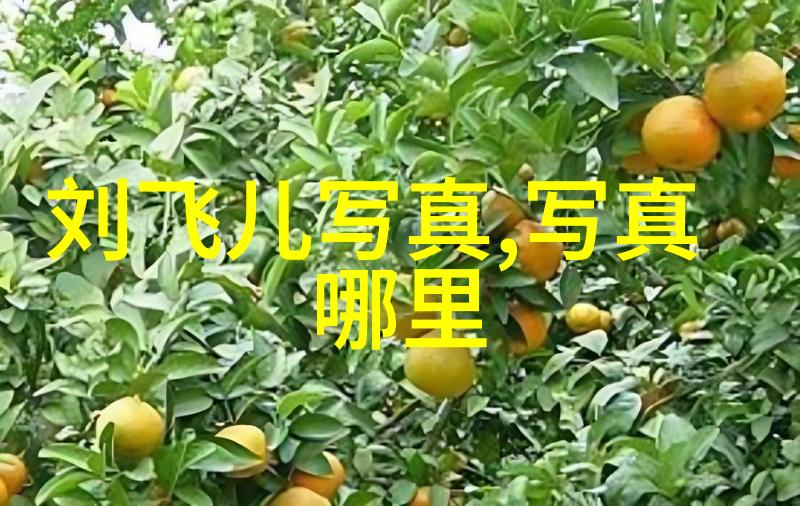 探秘趣头条APP您的日常新闻与娱乐生活新选择