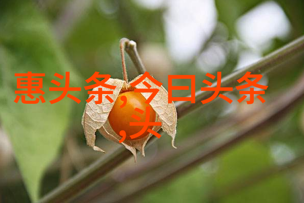 台湾民众对大陆的态度观望与挑战相互交织