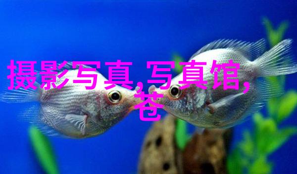 捕捉灵魂之美探索艺术写真的诗意与深度