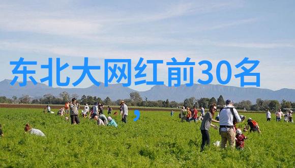 文化底蕴深厚最正宗太极八卦图背后的哲学含义是什么