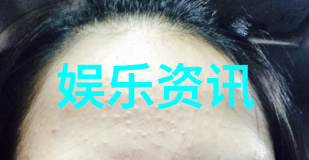 岛嶼的抉择台湾现状探索