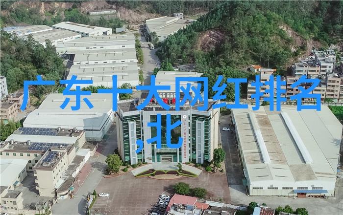 疫情期间巧妙拿下老妈的家庭管理技巧家庭团结时间管理远程教育