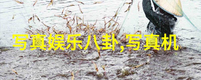 古装片电视剧-穿越时空的锦缎揭秘古装片中的历史与艺术