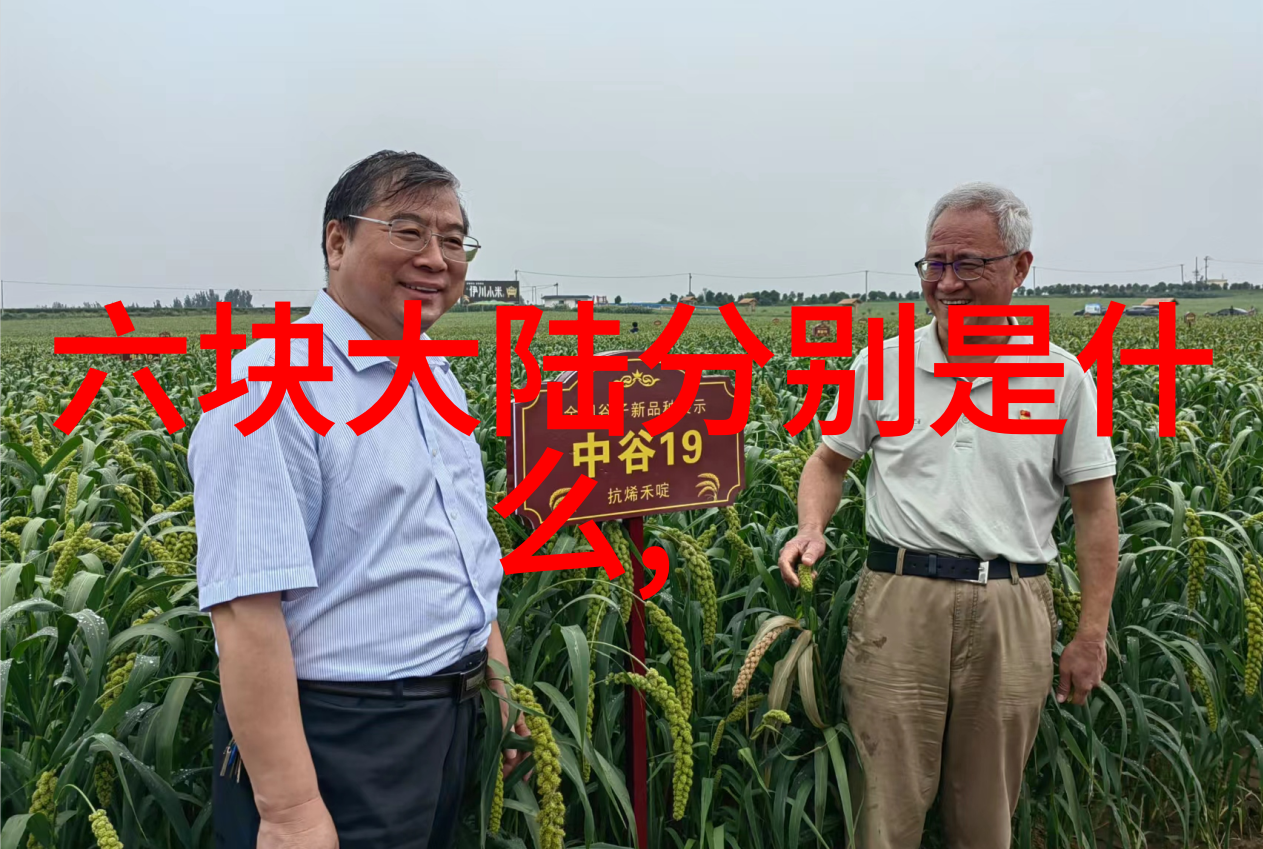 经典老歌100首精选目录回忆时光的金曲宝库