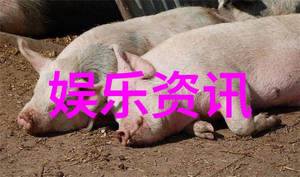 韩国娱乐新闻-K-波的回潮韩流明星新剧集引爆全球热议