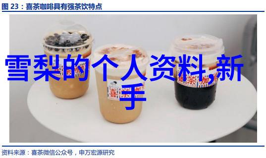 薛纪纲婚外情毁事业 新一季节目看不到他