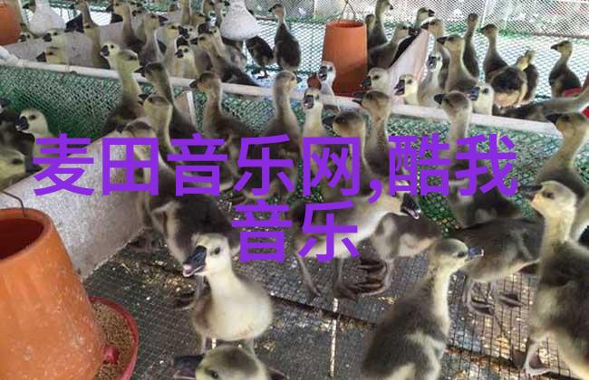 背景图片高清大图亲自去拍摄那些美景不一样
