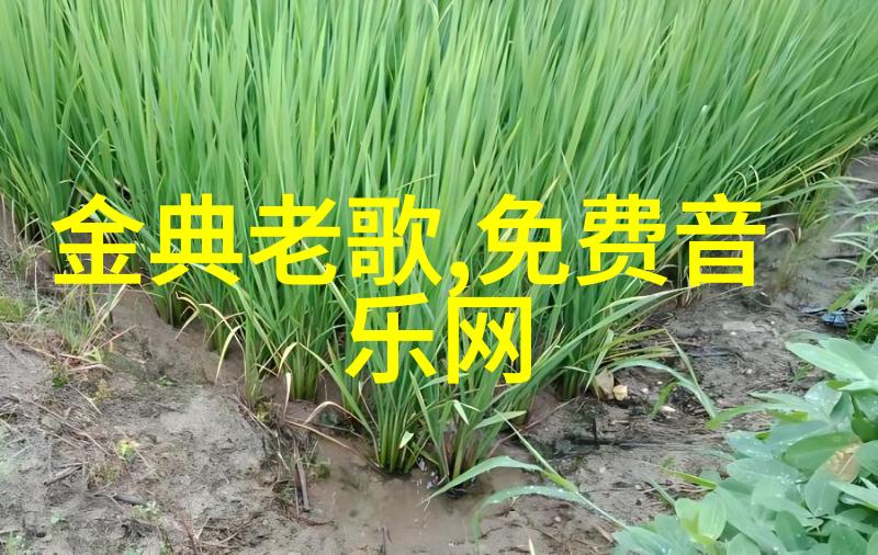 昨晚台湾被吓到了-台风警报升级引发民众紧张情绪
