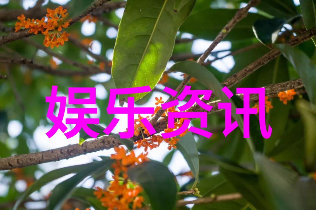 宅邸秘境揭秘八卦风水的艺术与智慧