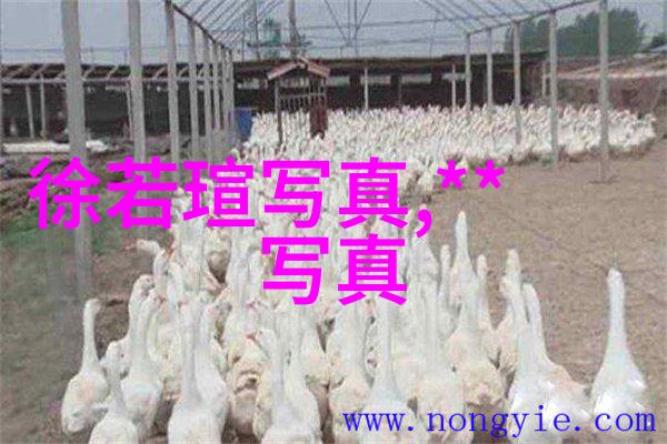 英雄谁是揭秘中国神话与民间传说中的英雄