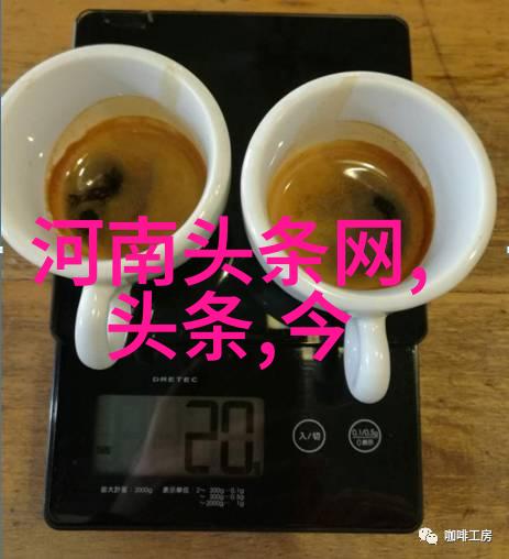 皇家娱乐指南宫廷盛宴的舞者与乐章