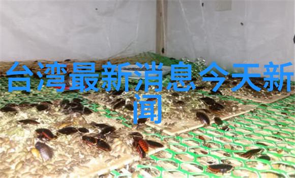 镜头的眼探索摄影写真艺术