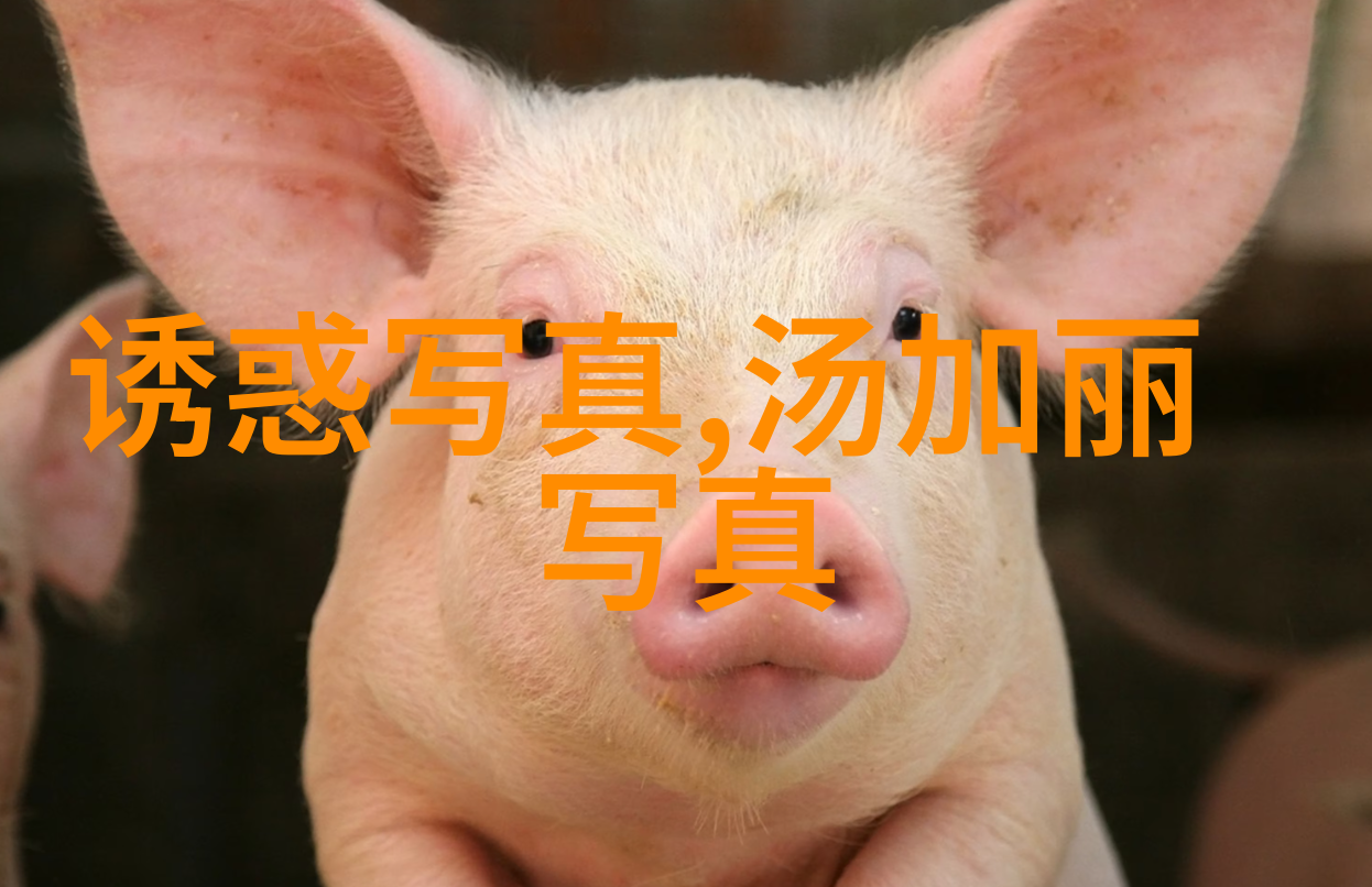 刘亦菲陈晓梦华录与庆余年电视剧何时上映该剧在社会背景下讲述了怎样的结局介绍