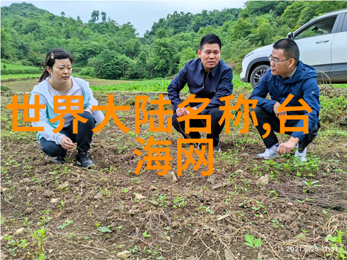 娱乐圈重生之梦女神的无限复活