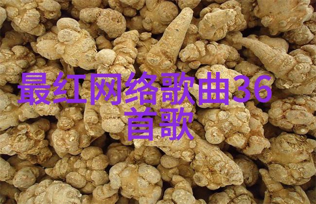 使徒行者2追逐光影中的真相与梦想