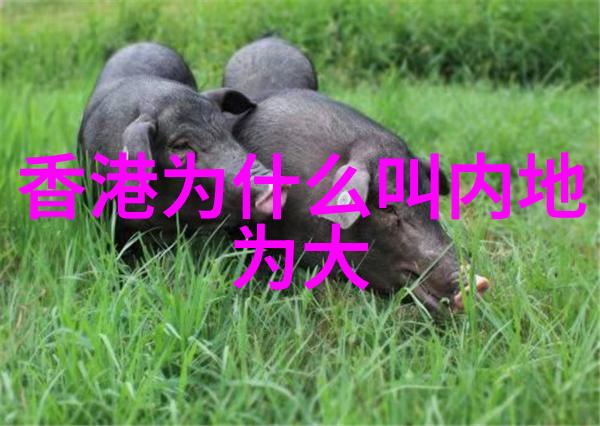 社交媒体热议封神主题下的观众讨论焦点