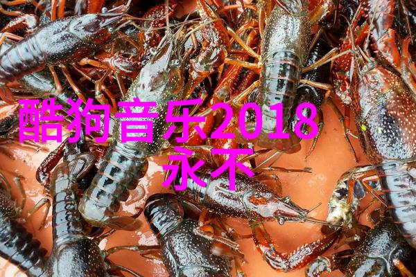 明星网我的偶像圈子探秘日记