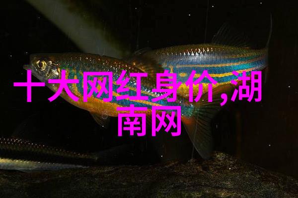 代号山豹电视剧开机仪式上杨颖与宋威龙首次携手合作以斗爱为主题的演绎让观众期待已久的双强相思令的故事将