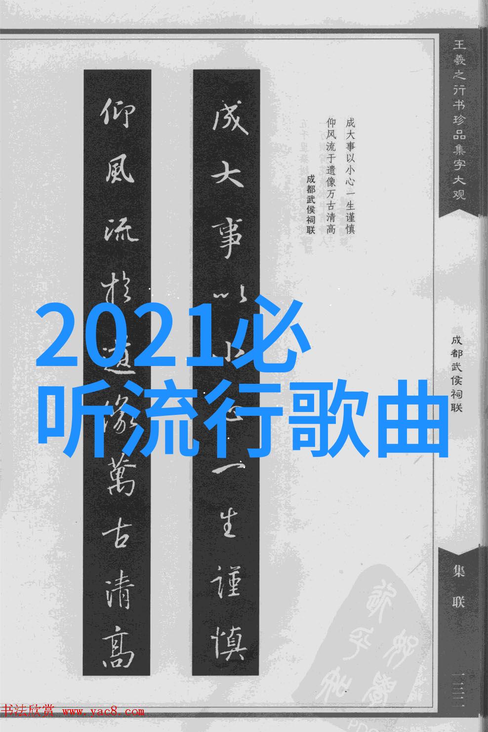 娱乐风云笑声与激情的舞台