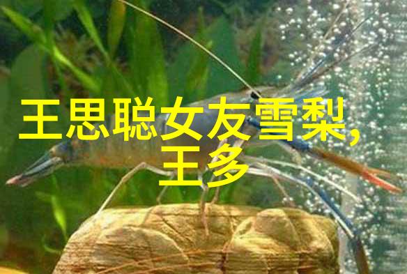 绽放笑容的新旅程