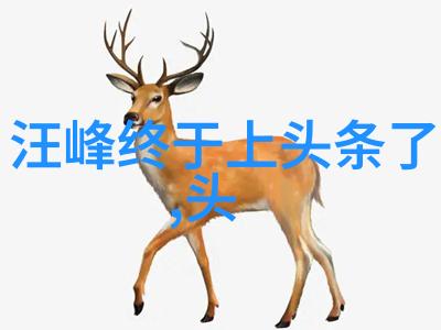 艺术家在拍摄或绘制过程中遵循哪些原则来构建视觉冲击力