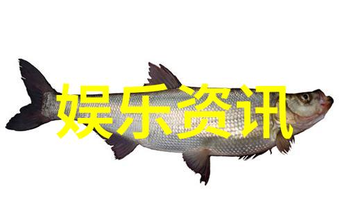 超拽的名字你准备好被这些四个字QQ网名震撼了吗