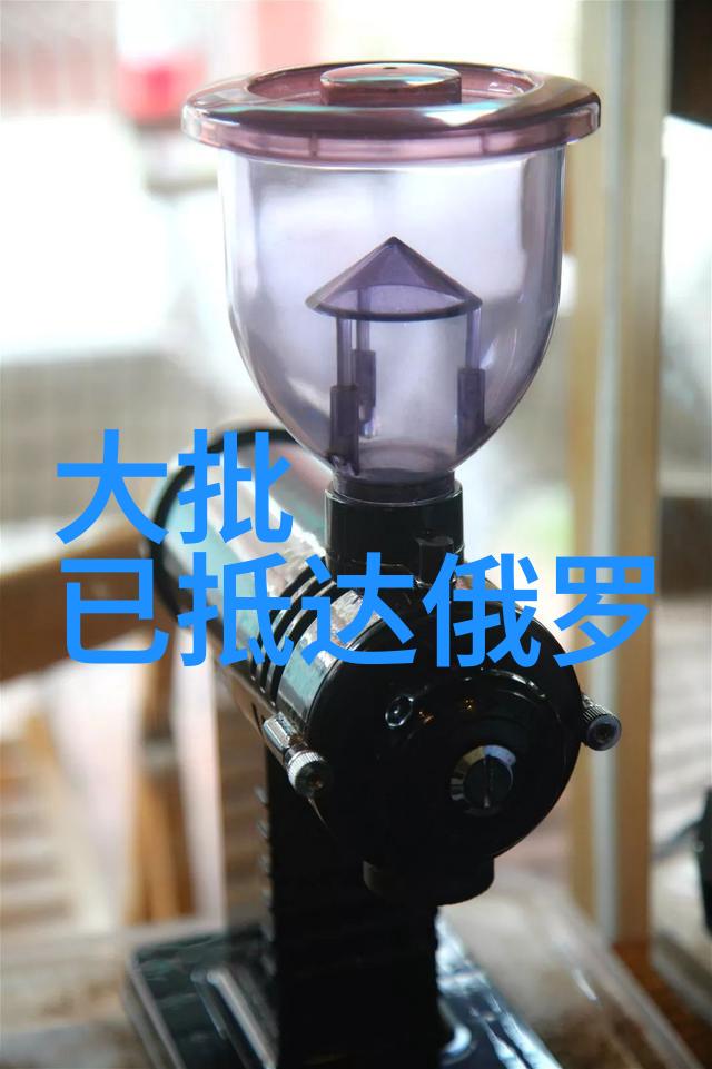 我的岳父会武术 电视剧-江湖传说我岳父的武林奇遇