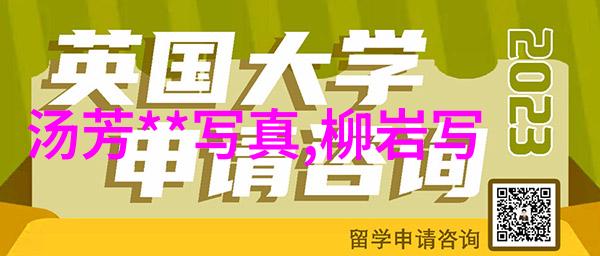 电影之旅探索银幕世界的魅力