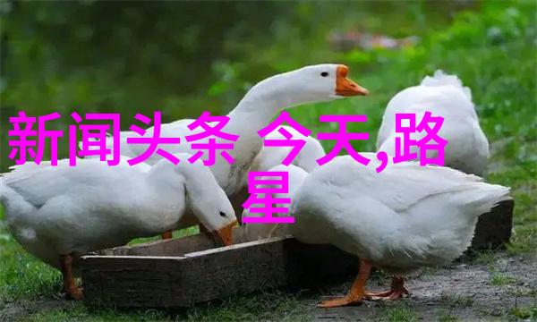 小苹果影视探秘揭秘山河月明中的铁铉真面目是他真的好心