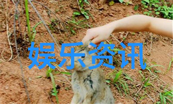 下载音乐视频时应注意哪些法律问题