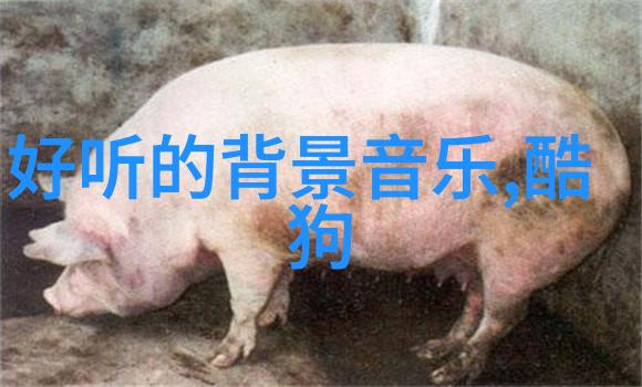 小八卦佩戴者在遇难题时会更灵光吗