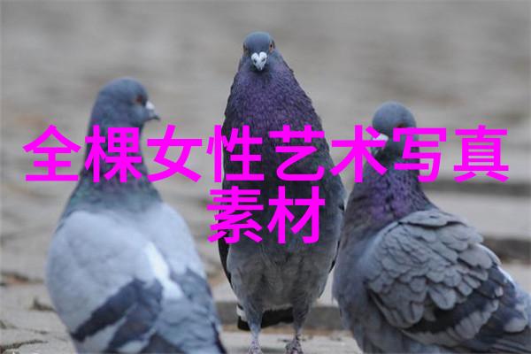 在自然的氛围中四个字独特好听的昵称放縱你的曖昧_非主流繁体网名大全