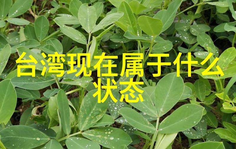 2022最新微信特殊符号网名你准备好创意了吗